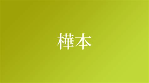 樺名字|名字「樺」の読み方・由来・全国人数情報など